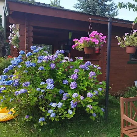 Szyper Władysławowo