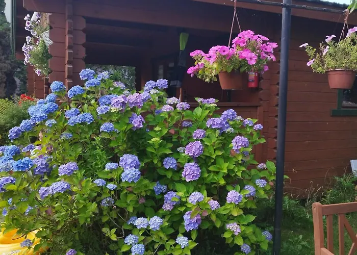 Szyper Władysławowo