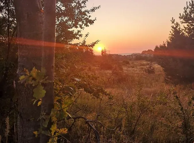 Szyper 民宿 Władysławowo